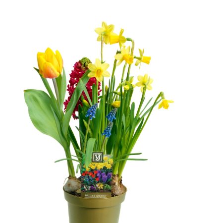 GeurtsMakelaars-IntoBusiness